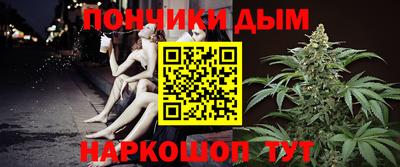индика Новодвинск