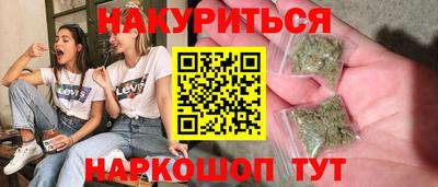 индика Новодвинск